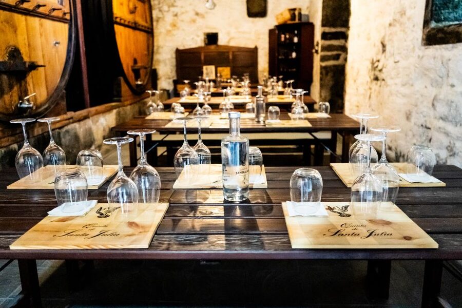 Porto: Douro Valley Tour with Lunch, Boat Cruise & Tastings - The N222 and the valley viewpoints