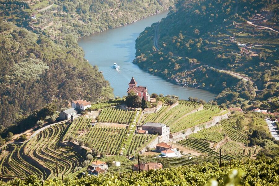 Porto: Douro Valley Tour with Wine Tasting, Cruise and Lunch - First Winery: Learning How Douro Wine Is Made
