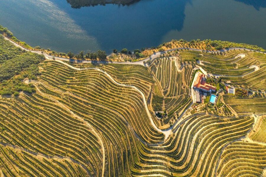 Porto: Douro Valley Tour with Wine Tasting, Cruise and Lunch - Portuguese Lunch and a Useful Midday Break