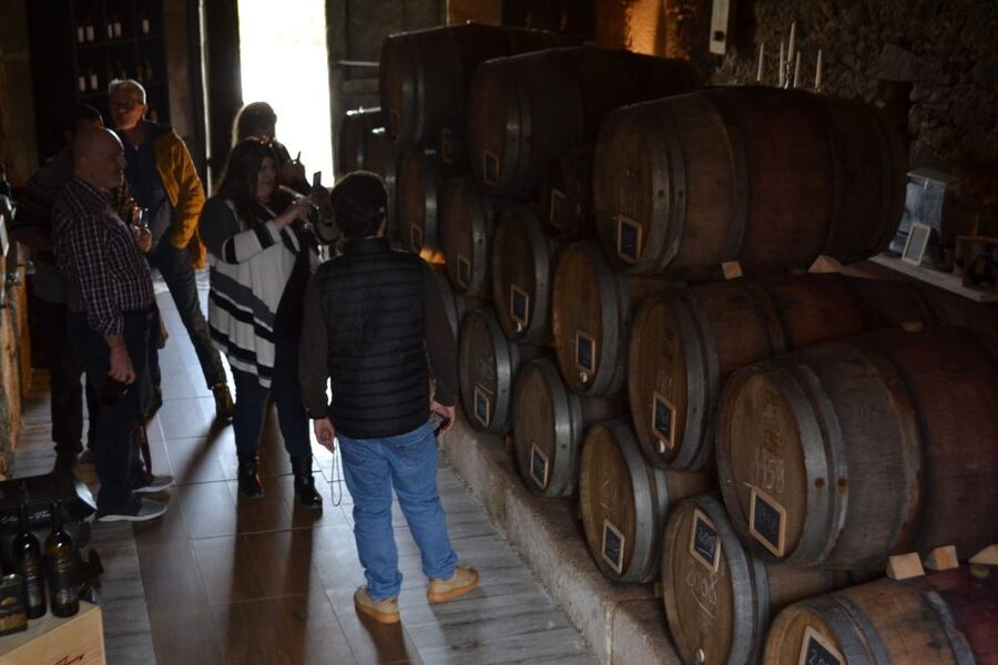 Porto: Douro Valley Vineyards Tour with Lunch & River Cruise - Pinhão and the Douro River cruise
