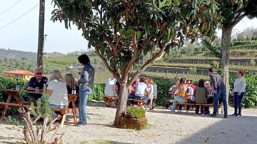 Porto: Douro Valley Vineyards Tour with Lunch & River Cruise - Who will enjoy this Douro Valley tour most?
