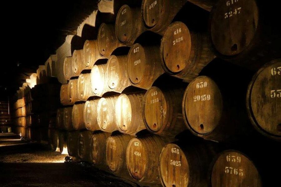 Porto: Douro Valley Wine Tour - Why the Douro Valley Makes a Worthwhile Day Trip
