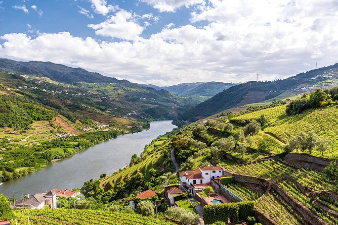 Porto: Douro Valley Wine Tour Including Lunch - São Cristovão do Douro and the National Road 222