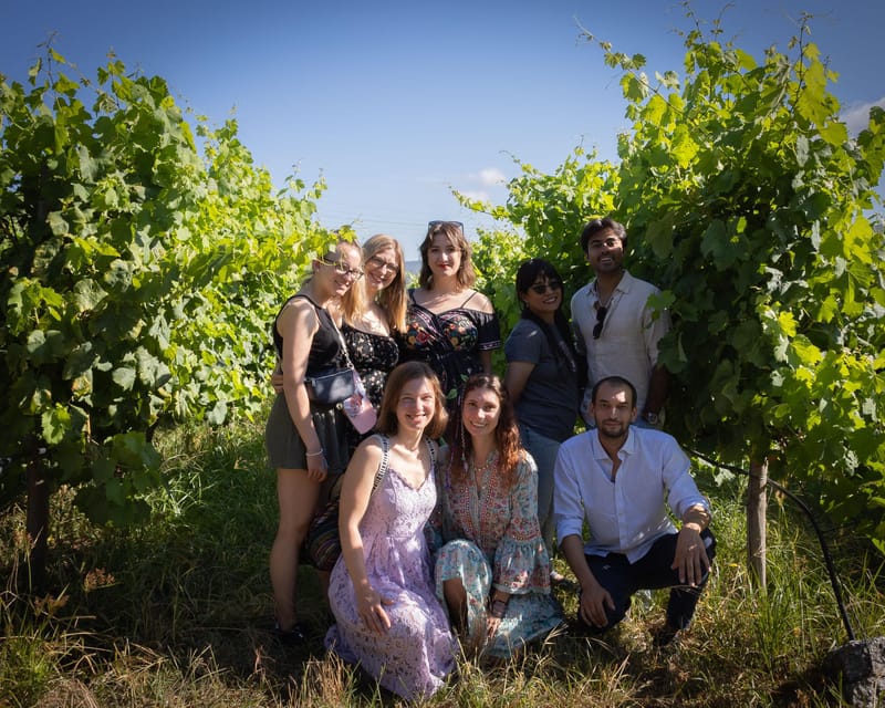 Porto: Douro Valley Wine Tour with a Sommelier & Boat Trip - Seeing the Douro from the water