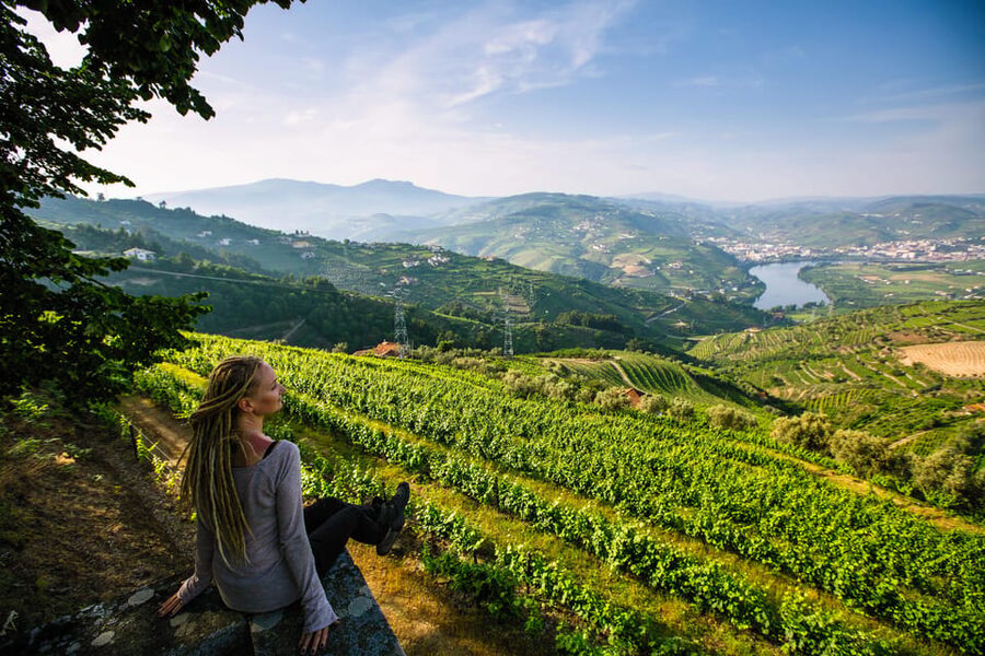 Porto: Douro Valley Wine Tour with a Sommelier & Boat Trip - Who should book this day?