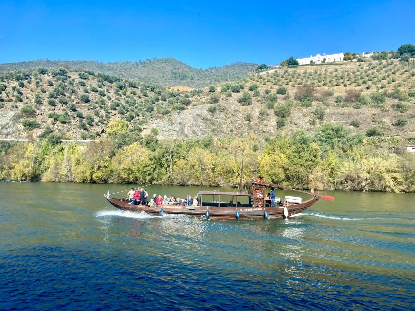 Porto: Douro Valley Wine Tour with Tastings, Boat, and Lunch - Who should choose this Douro Valley tour?