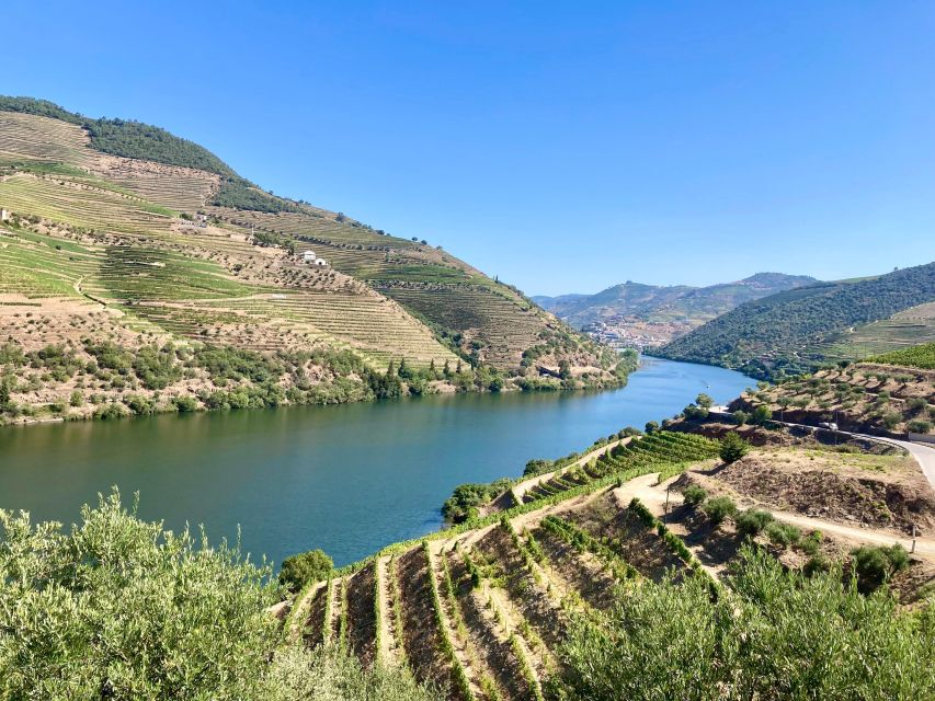 Porto: Douro Valley Wine Tour with Tastings, Boat, and Lunch - Why the Douro makes a rewarding day from Porto