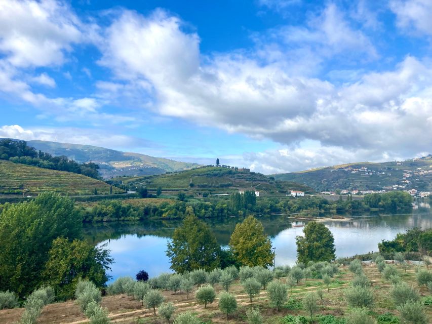 Porto: Douro Valley Wine Tour with Tastings, Boat, and Lunch - The first winery and the making of Port