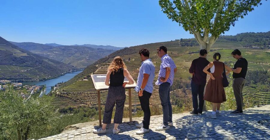 Porto: Douro Valley Wine Tour with Tastings, Boat, and Lunch - The small group is the real upgrade