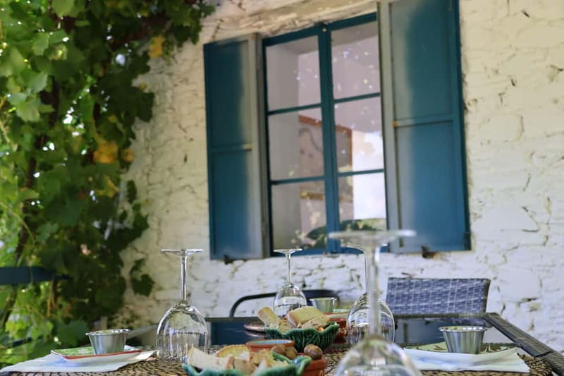 Porto: Douro Valley with Small Wineries, Lunch and Boat Tour - Who should book this Douro Valley trip?