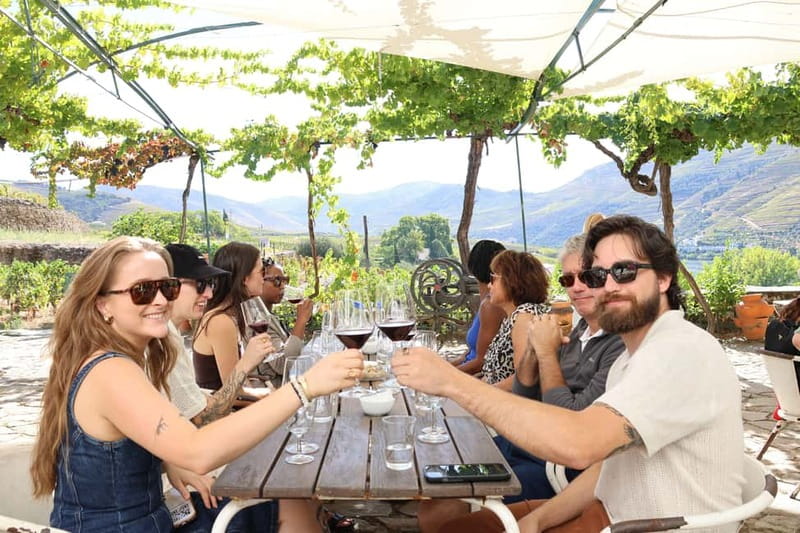 Porto: Douro Valley with Small Wineries, Lunch and Boat Tour - First winery: a close look at local wine