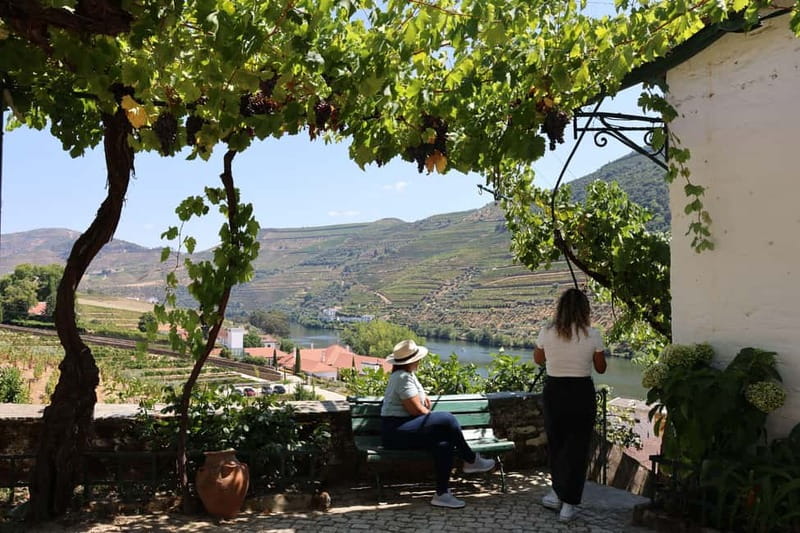Porto: Douro Valley with Small Wineries, Lunch and Boat Tour - The N222 scenic drive