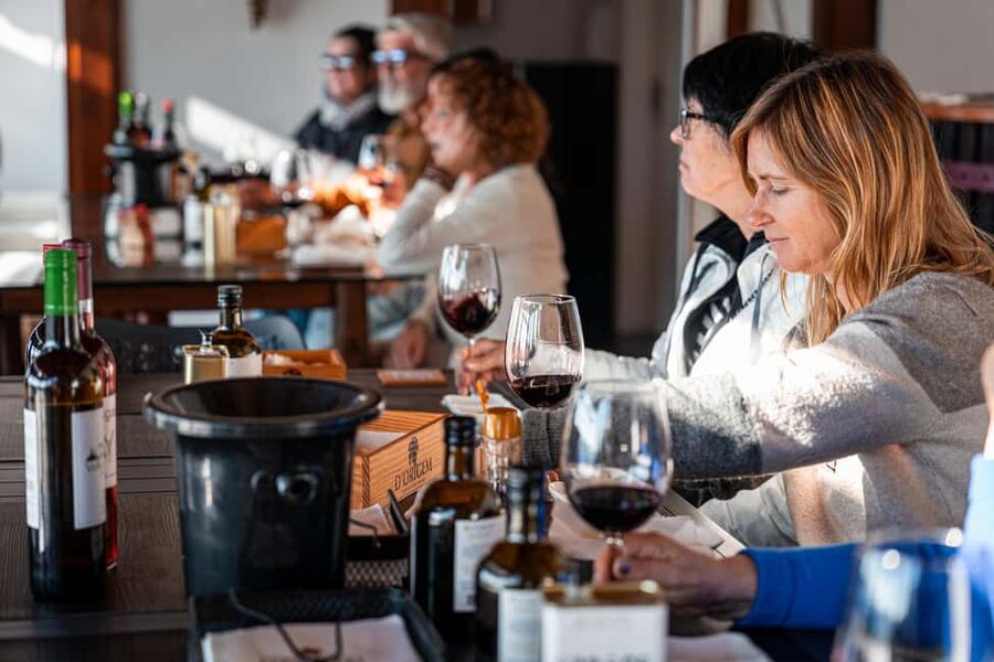 Porto: Douro Wine Tour with Lunch and River Cruise - Who Should Book This Douro Tour?