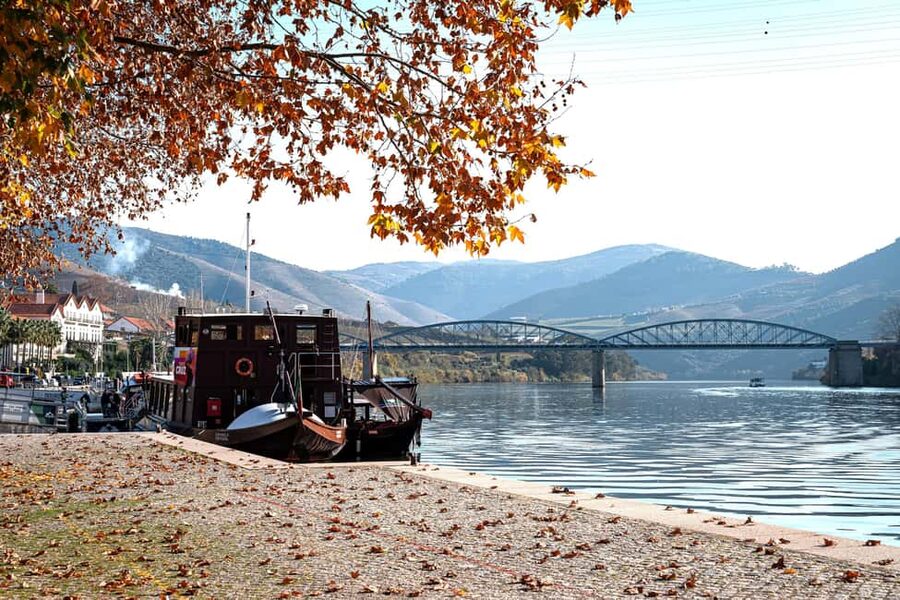 Porto: Douro Wine Tour with Lunch and River Cruise - The First Winery: Start with Port and Douro Wine
