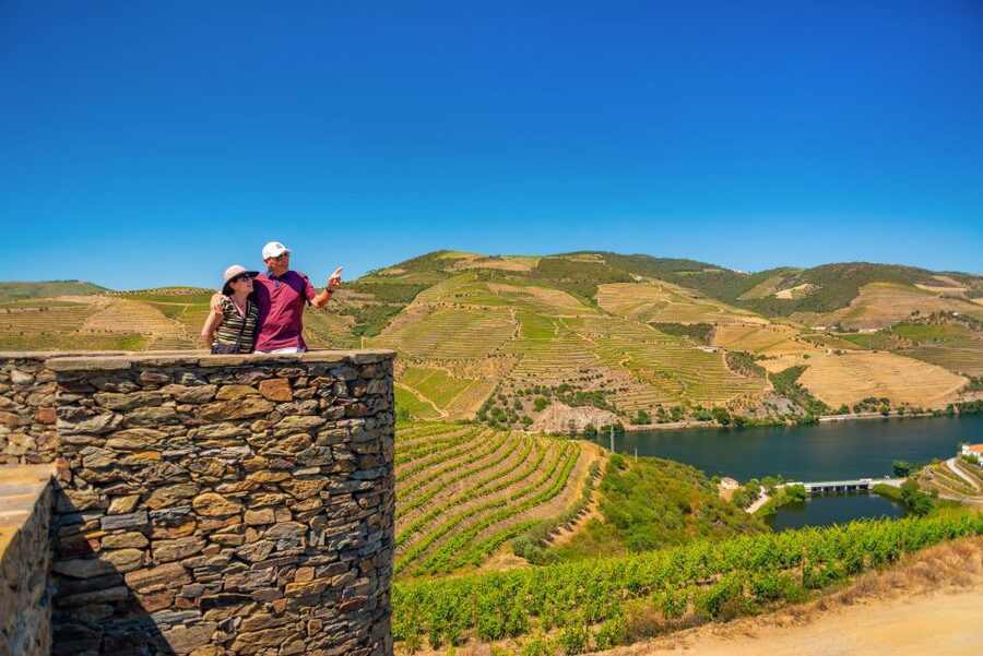 Porto: Douro Wine Tour with Lunch and River Cruise - The Second Winery: Compare the Styles