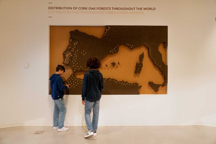 Porto: Entry Ticket at WOW - Planet Cork Museum - From wine stoppers to spacecraft