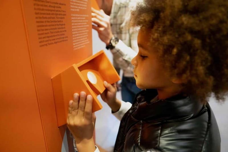 Porto: Entry Ticket at WOW - Planet Cork Museum - Making your own cork stopper