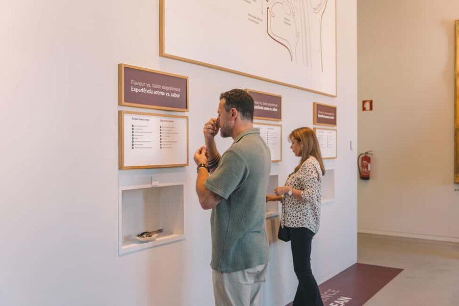 Porto: Entry Ticket at WOW - The Wine Experience Museum - What the Wine Experience at WOW actually does