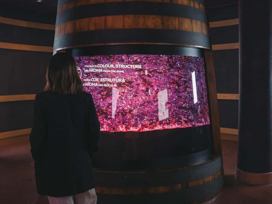 Porto: Entry Ticket at WOW - The Wine Experience Museum - Should you book The Wine Experience?