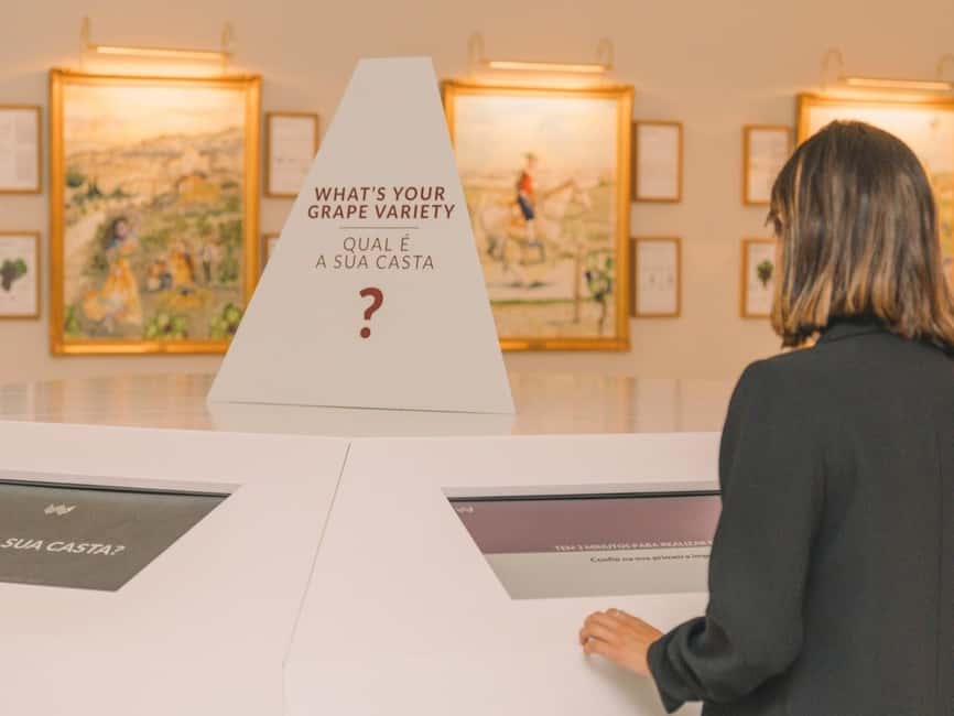 Porto: Entry Ticket at WOW - The Wine Experience Museum - Accessibility, languages, and arrival tips