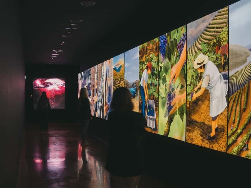 Porto: Entry Ticket at WOW - The Wine Experience Museum - Who will enjoy this most?