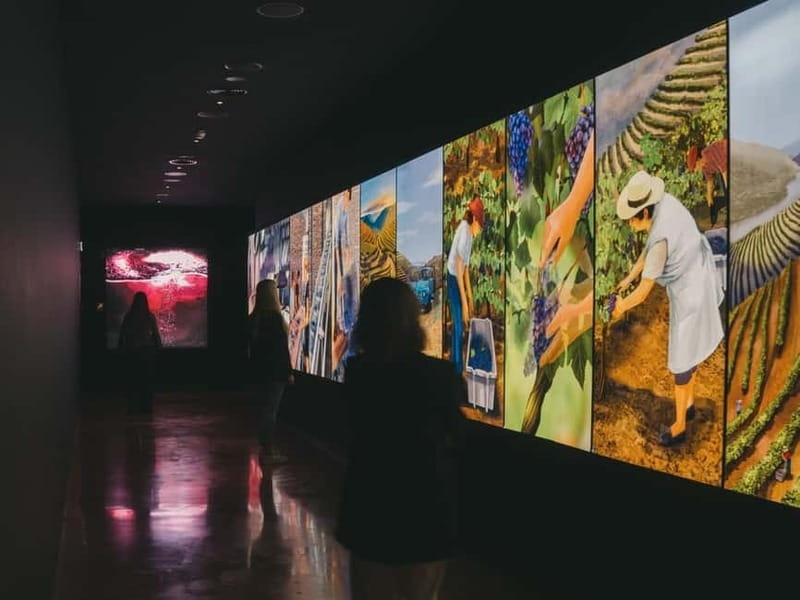 Porto: Fonseca Wine Cellar & WOW Wine Experience - Inside the Wine Experience museum
