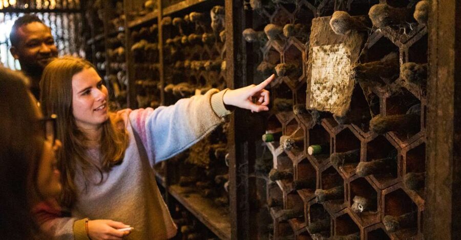 Porto: Food & Wine Tasting Walking Tour with Port Wine Cave - Starting above Porto at Jardim do Morro