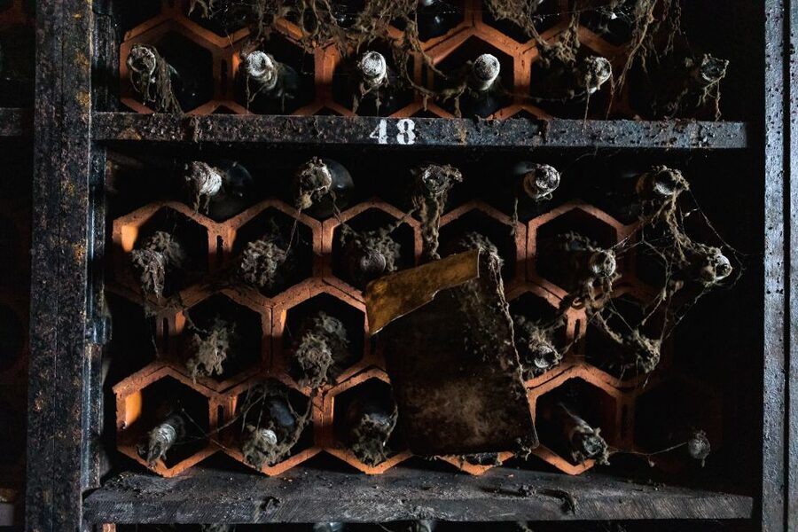Porto: Food & Wine Tasting Walking Tour with Port Wine Cave - Local wine, beer, and the people behind the food