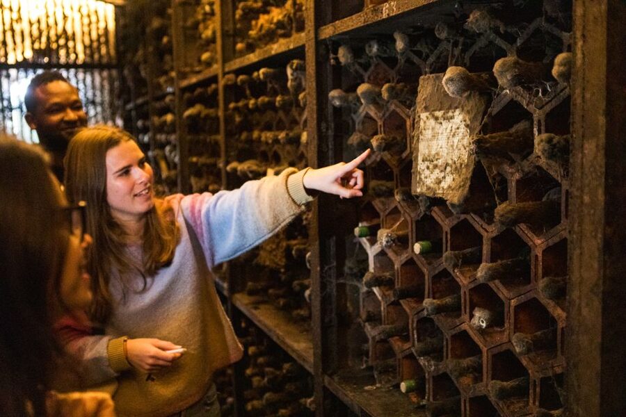 Porto: Food & Wine Tasting Walking Tour with Port Wine Cave - Why Gaia matters more than the name Porto suggests