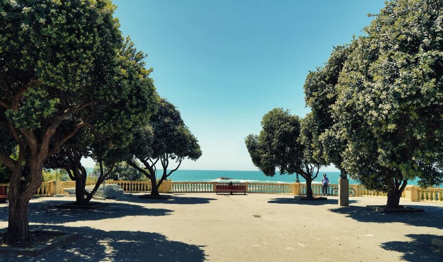Porto: Full-Day All-Inclusive Private City Sightseeing Tour - Is $253 per person a fair price?