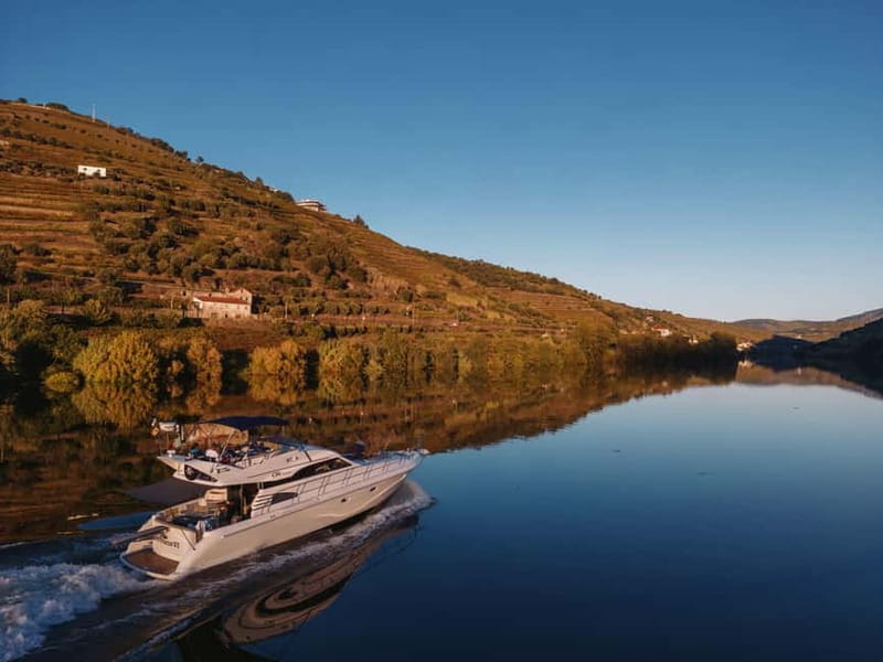 Porto: Full Day Douro River Cruise from Porto to Régua - From Porto’s marina into the Douro Valley