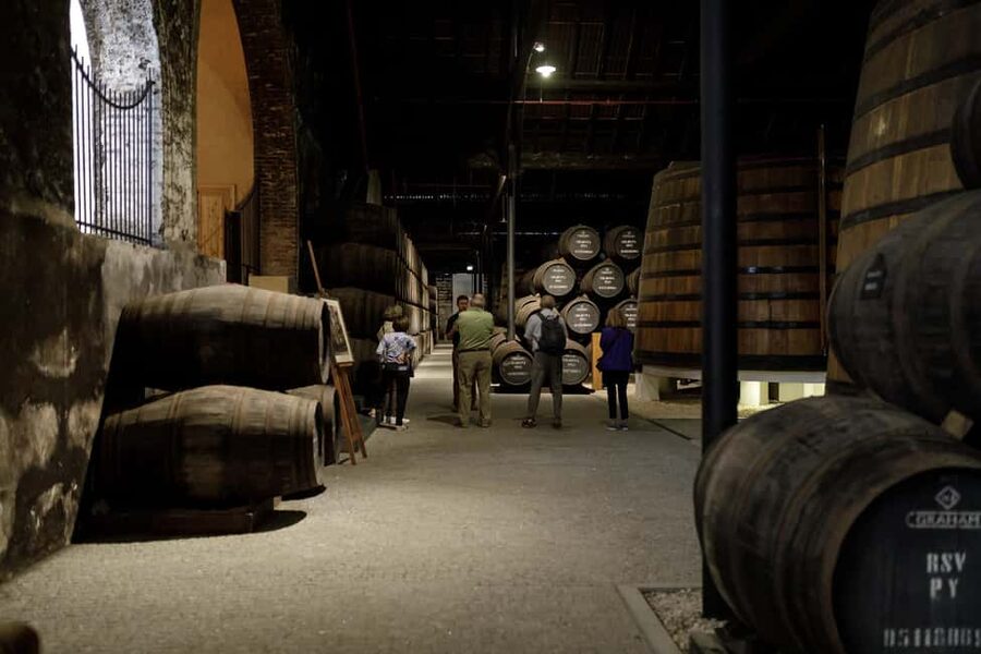 Porto: Graham's Port Lodge Tour and Port Essentials Tasting - Food pairings and the visitor center