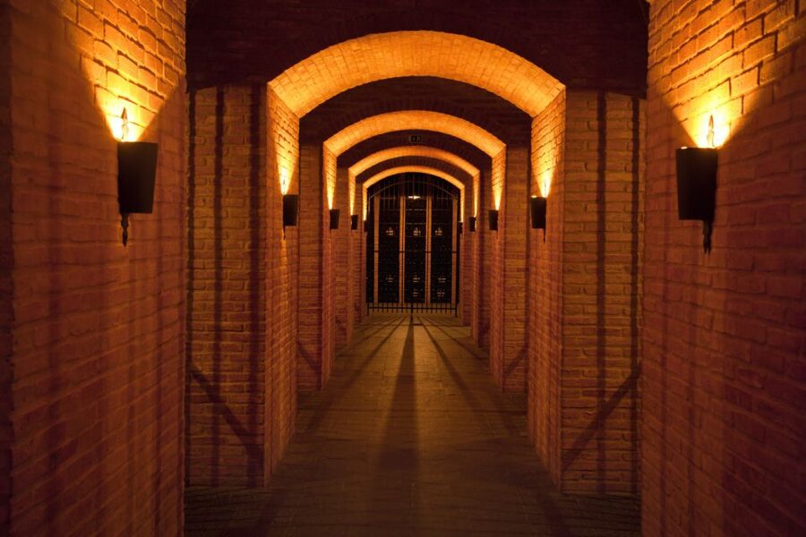Porto: Graham's Port Lodge Tour with Premium Wine Tastings - Why Graham’s Port Lodge is worth the climb