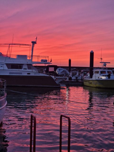 Porto: Guide Boat tour with tasting of 4 Port wines - Starting at Marina da Afurada