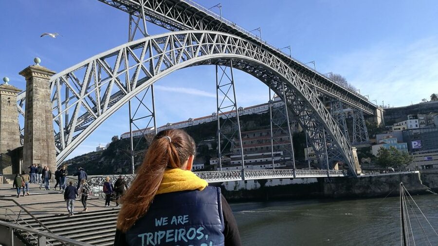 Porto: Guided 3-Hour Best of Tour by Segway - Avenida dos Aliados and Porto’s Civic Center