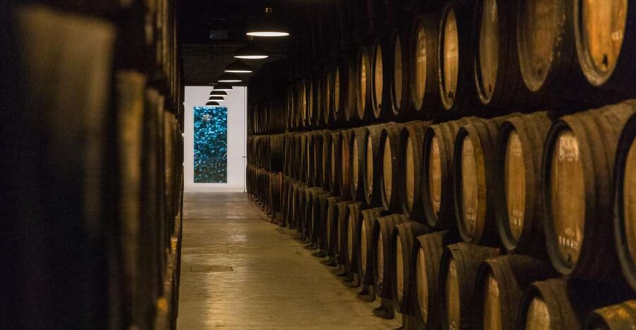 Porto: Guided Tour and Tasting of 3 Port Wines at Poças - The Douro Valley lesson adds useful context