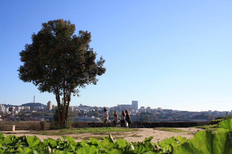 Porto: Half-Day Jewish Tour - Largo do Terreiro and the former Jewish quarter
