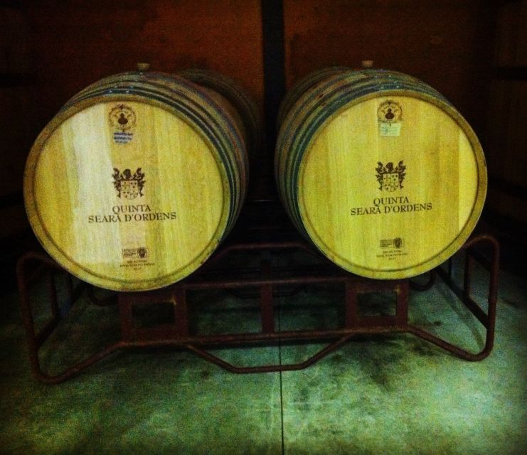 Porto: Half-Day Small Group City Tour with port wine tasting - Clérigos Tower and Church