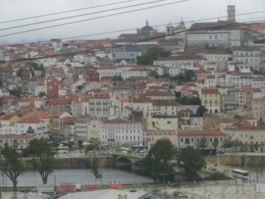 Porto: Half-Day Small Group City Tour with port wine tasting - Bolhão Market and everyday Porto