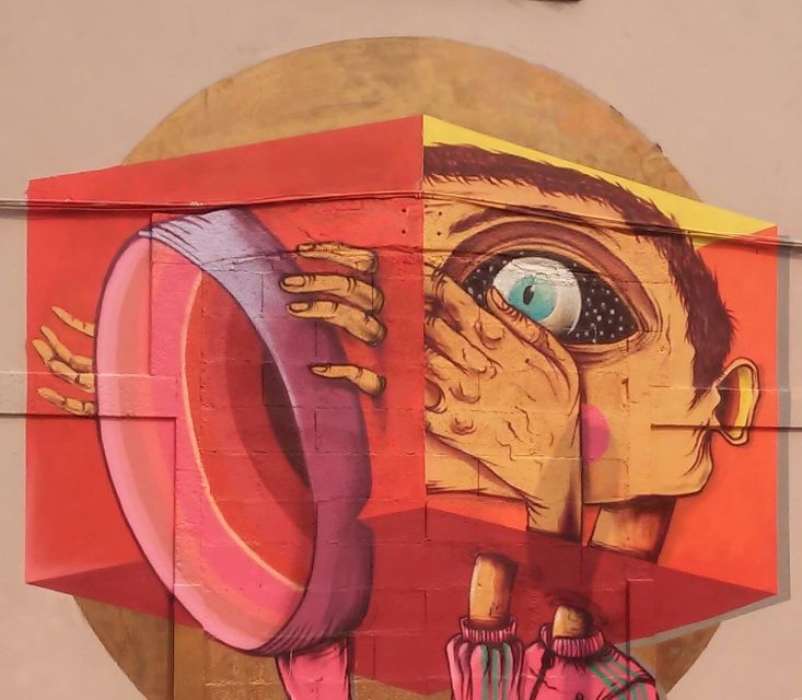 Porto: Half-Day Street Art Tour - Who will enjoy this three-hour walk