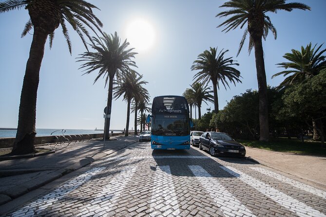 Porto Hop On Hop Off Bus Tour with Wine tasting & Night tour - City Park, Castelo do Queijo, and Foz do Douro