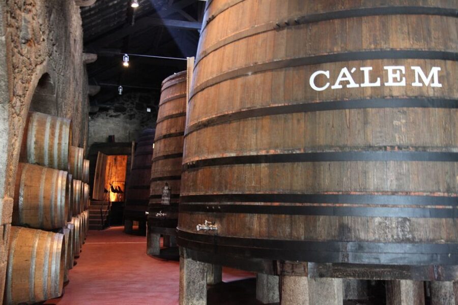 Porto: Hop-on Hop-off Bus with Optional Cruise & Wine Cellar - Key points to know before you book