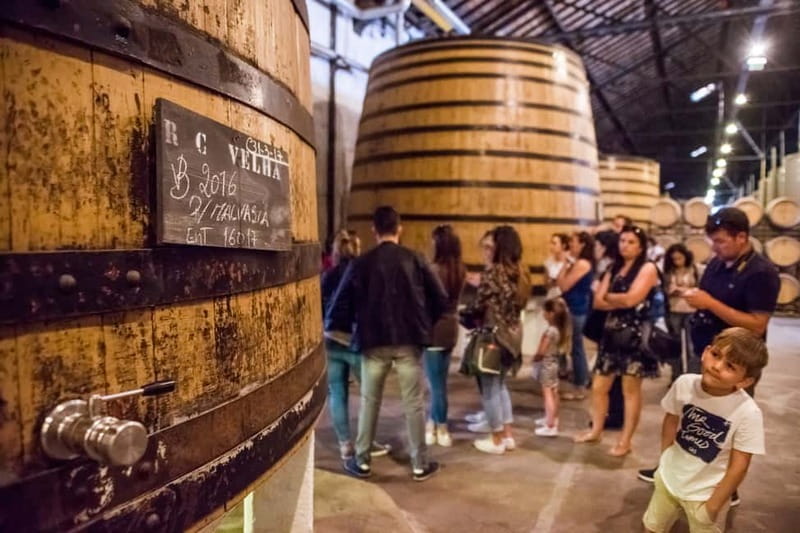 Porto: Magic Train Tour and Port Wine Cellar with Tastings - Key points to know before you go