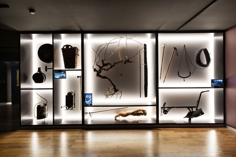 Porto: Museum of the Oldest Appellation in the World Ticket - Who will enjoy this museum most?