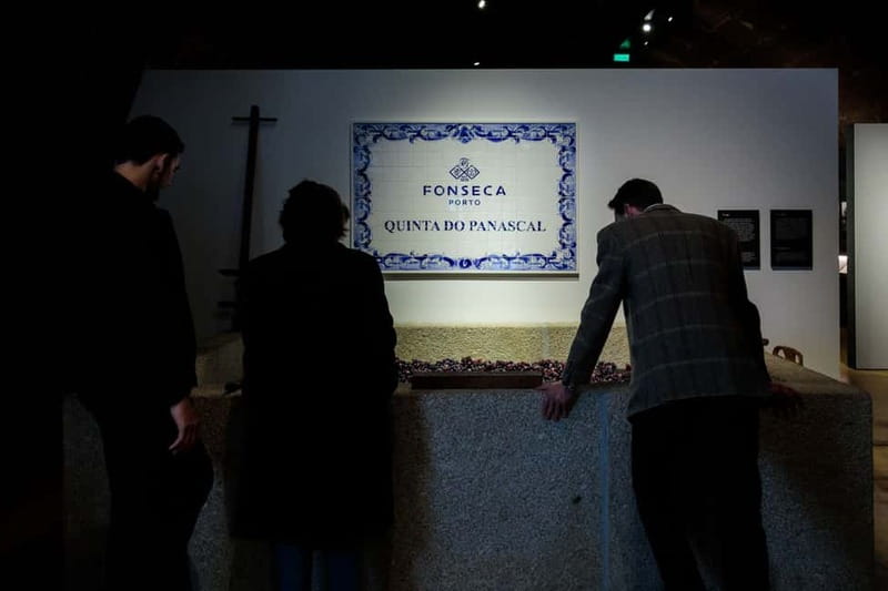 Porto: Port Cellar Visit and Wine Tasting at Fonseca - Timing your visit during the day