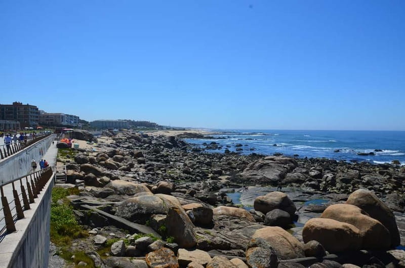 Porto: Porto Bike Atlantic Route - Monday brings the Feira de Espinho