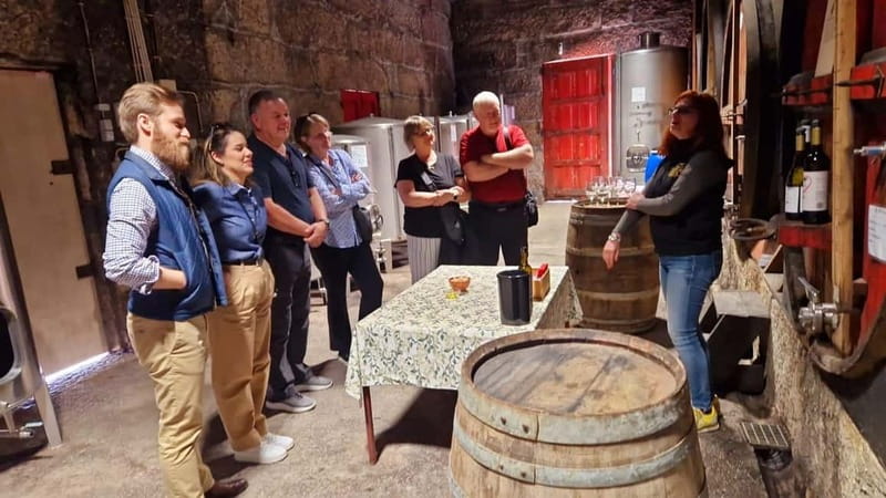Porto: Premium Douro Valley Small-Group Tour, Cruise & Lunch - Why this Douro tour works so well as a day trip