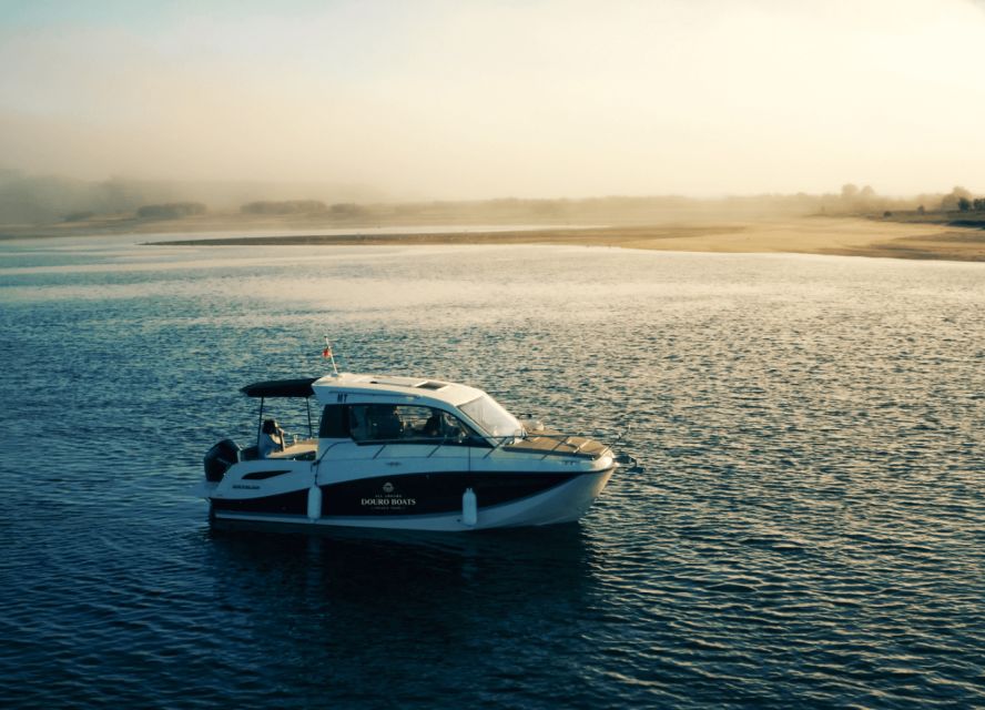 Porto: Private Boat Tour in Douro River - What the two-hour schedule feels like