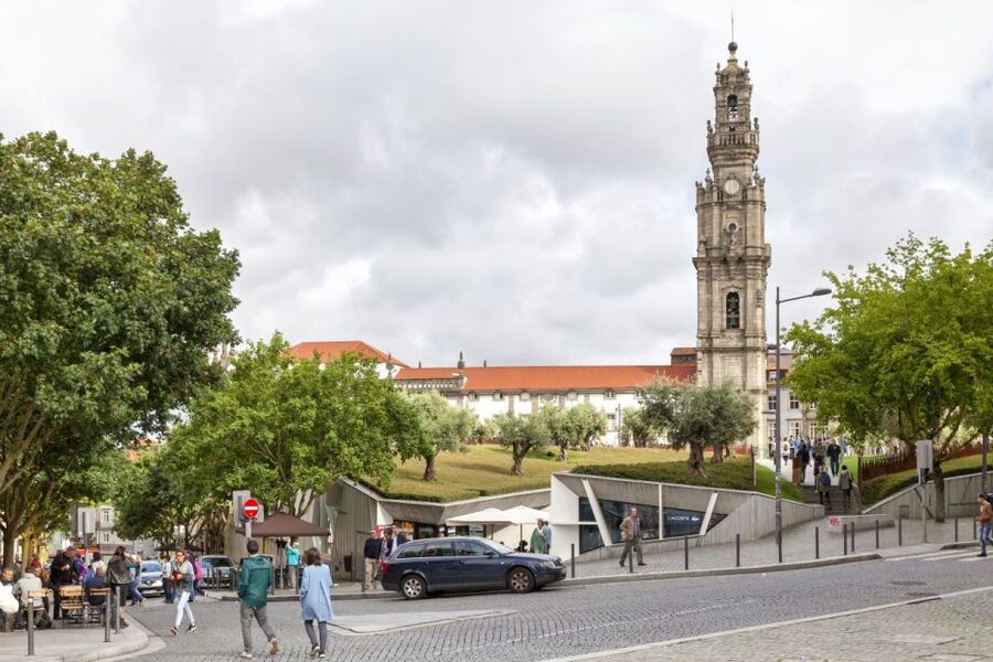 Porto: Private Custom Tour with a Local– Icons & Hidden Gems - Walking, group size, and access