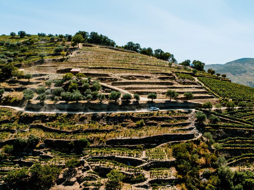 Porto: Private Douro Valley 4x4 Tour with Lunch - A 100-minute lunch with Douro wines